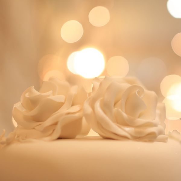 Ivory Roses