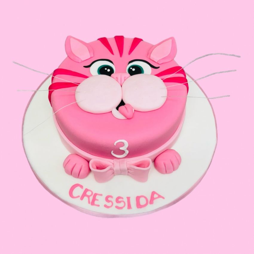 Pink Cat (Feeds 15)